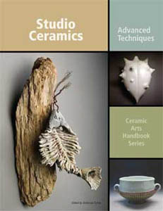 Studio Ceramics: Advanced Techniques