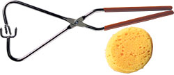 Sponges & Tongs
