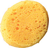 2-3/4" Sponge