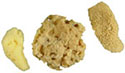Multi-Sponge Kit
