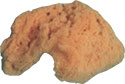 Silk Sponge