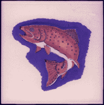 Trout Image created with the Minnesota Markers