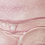 Amaco P-50 Pink Calcite Glaze