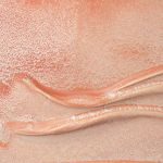 Amaco P-65 Sienna Frost Glaze