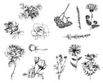 Mayco DSS-0112 Designer Silkscreen Flowers