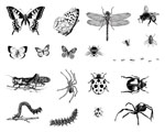 Mayco DSS-0113 Designer Silkscreen Bugs