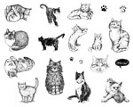 Mayco DSS-0120 Designer Silkscreen Cats