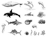 Mayco DSS-0131 Designer Silkscreen Sea Life 2