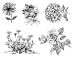 Mayco DSS-0149 Designer Silkscreen Flowers 3 XL
