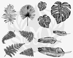Mayco DSS-0166 Designer Silkscreen Tropical Leaves