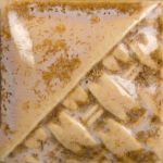 Mayco SW-215 Micro Champagne