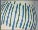 Slip Trails