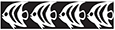 RM-006 Pattern